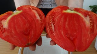 Градинар споделя рецепта за разтвор с която помощ доматите му стават едри и не се напукват
