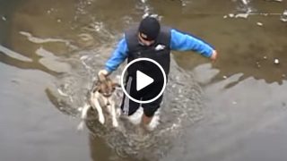 Той спаси кучето от капана на ледените води но не очакваше такава Благодарност която получи!