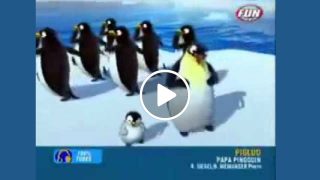 Всеки нека види Танца на пингвините