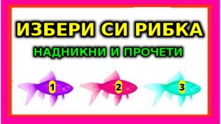 Избери си Рибка и Виж Късмета си: Напиши в коментар коя риба избра!