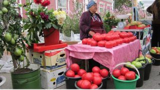 Разберете какъв сорт домати отглежда жената и как можете и Вие да имате подобна богата реколта