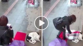 Доброто беше уловено на камера, момичето даде собствения си шал на измръзнало бездомно куче!