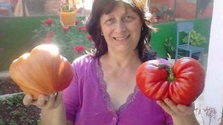Ето как да отгледате големи, сладки и супервкусни домати