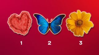 Избери и Надникни: Сърце, Пеперуда или Цвете?