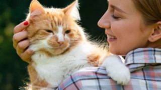 Котката е ЖИВО ЛЕКАРСТВО! 6 болести, които само една котка може да облекчи