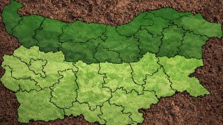 12 думи на български, които ще се изненадате, че не знаете: