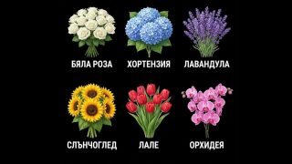 Цветето, което избереш, ще разкрие вътрешната ти сила