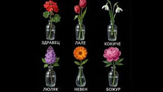 Цветето, което те привлече, издава скрита черта от характера ти