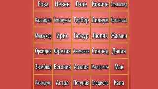Кое цвете харесваш най-много? Виж какво разкрива това за твоя характер!