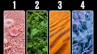 Кой пейзаж бихте избрали? Открийте какво се крие зад избора ви